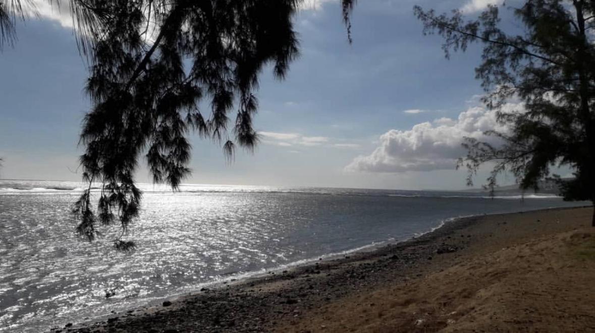 Appart Lumineux Vue Mer Leu Emra 圣勒 外观 照片